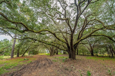 8737 Peters Point Rd, Edisto Island, SC 29438 - photo 7
