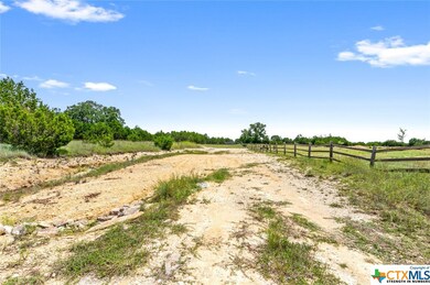 10.131 acres Hawk Ln, Kempner, TX 76539 - photo 3