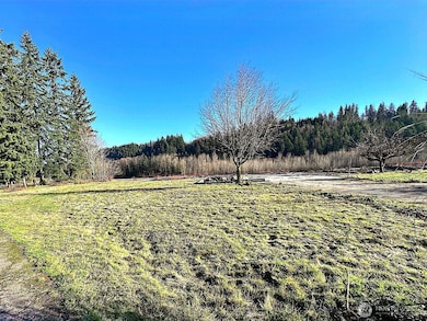 17118 226th St Ct E, Graham, WA 98338 - photo 4