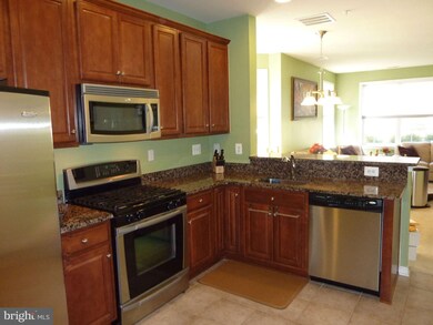 42587 Hollyhock Terrace unit 20A, Ashburn, VA 20148 - photo 3