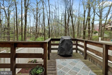 1611 Fieldthorn Dr, Reston, VA 20194 - photo 5