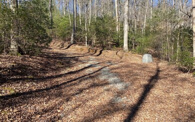 Additional View