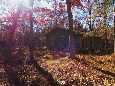 3355 W 8th St, Baldwin, MI 49304 - photo 3