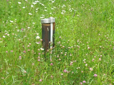 184 Lawrence St, Dover-Foxcroft, ME 04426 - photo 5