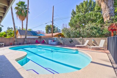 7 Back Yard