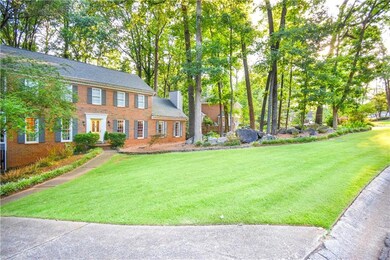 Beautiful yard