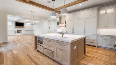 845 Tulip Ln, Naperville, IL 60540 - photo 5