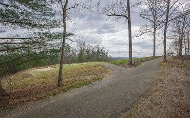 Additional View