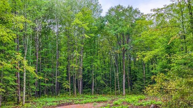 ON Sanctuary Rd, Tomahawk, WI 54487 - photo 6