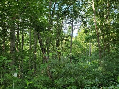 512 Langford Branch Rd, Cane River, NC 28714 - photo 2