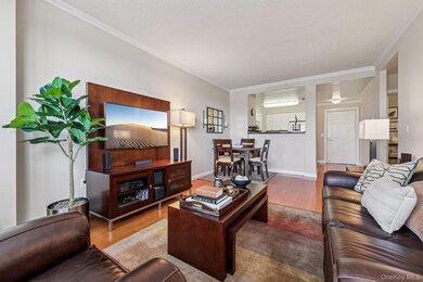 The Residences at Jefferson Place unit 715, White Plains, NY 10605 - photo 3