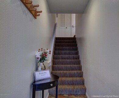 Large entry