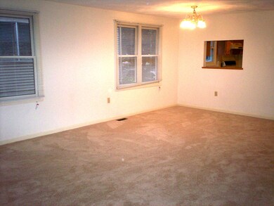 295 River St, Waltham, MA 02453 - photo 5