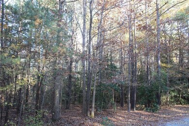 View of local wilderness