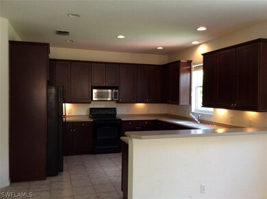 11033 River Trent Ct, Lehigh Acres, FL 33971 - photo 3