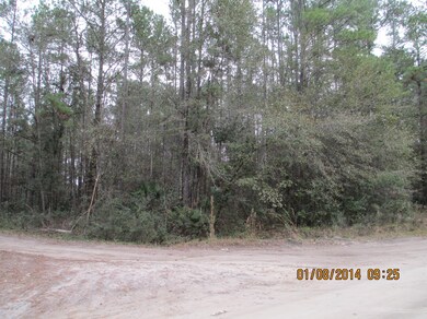 3474 Baker Rd, Middleburg, FL 32068 - photo 3