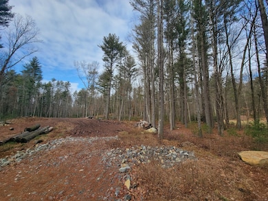 200 Orcuttville Rd, Stafford, CT 06076 - photo 2