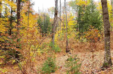 114 Weare Rd, Henniker, NH 03242 - photo 4