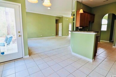 429 Gully Store Ct, Conway, SC 29526 - photo 4