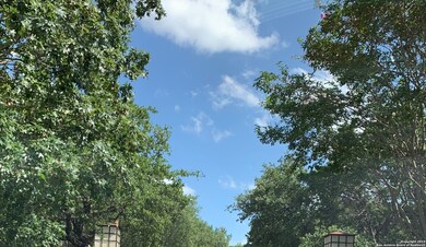 18244 Shadow Canyon Dr, Helotes, TX 78023 - photo 7