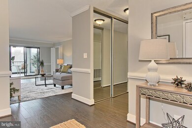 5901 Mount Eagle Dr unit 818, Alexandria, VA 22303 - photo 4