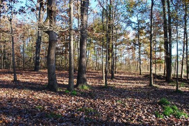DSC_0218 (1024x685)