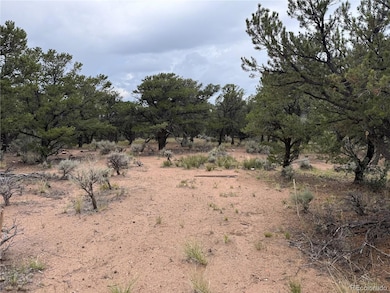 7863 Platten Rd, Fort Garland, CO 81133 - photo 4