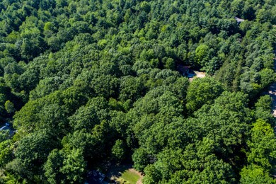 20200717-DJI_0329