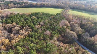 dji_fly_20241126_083010_0195_17326582929