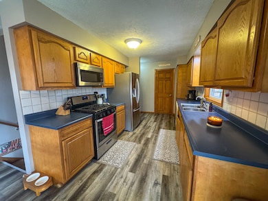 12278 N Willow Rd, Bitely, MI 49309 - photo 6