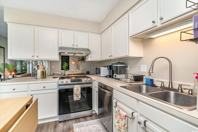 Kitchen featuring dark wood-style flooring, light 