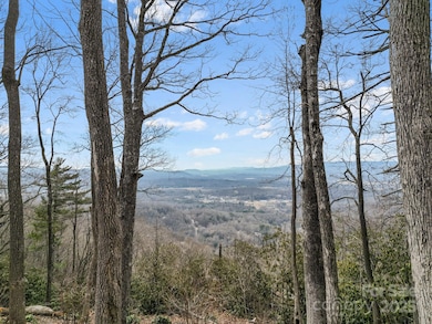 Lot 65 Featherstone Dr unit 65, Fletcher, NC 28732 - photo 4