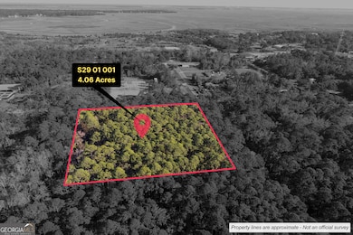 0 Saint Patrick St, St. Marys, GA 31558 - photo 2