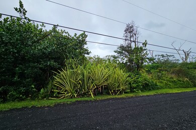 0 4th Ave unit 725543, Hawaiian Paradise Park, HI 96749 - photo 4