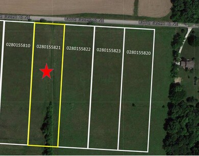 Lot 5 New