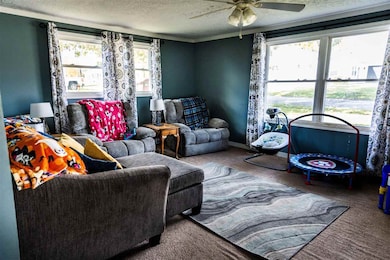 205 W Williams St, Farmland, IN 47340 - photo 6