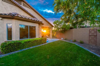 Backyard T1