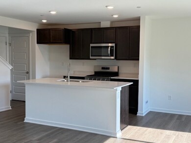 3513 Richardson Cir, Yorkville, IL 60560 - photo 7