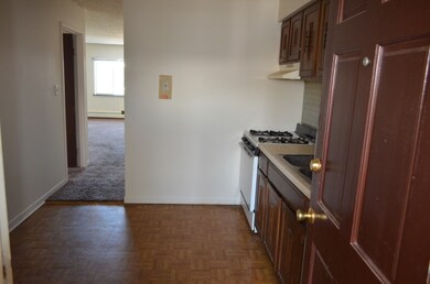 10030 Holly Ln unit 2N, Des Plaines, IL 60016 - photo 2