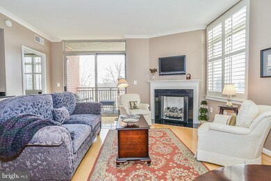 4490 Market Commons Dr unit 410, Fairfax, VA 22033 - photo 2