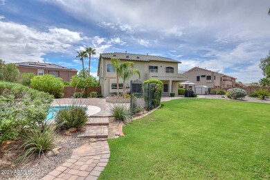 Backyard2
