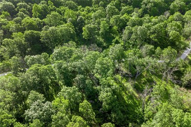 Lot 81 Restore Ridge, Harrison, AR 72601 - photo 5