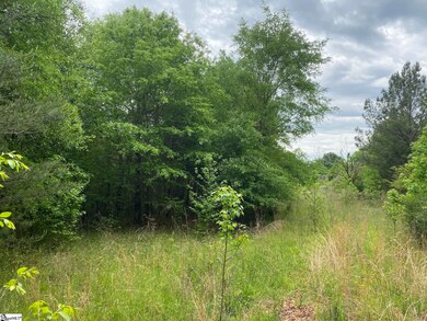 00 Wingo Rd, Wellford, SC 29385 - photo 7