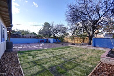 Huge Backyard
