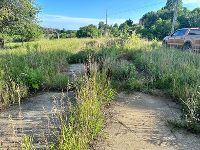 21575 150th Ave, Big Rapids, MI 49307 - photo 4