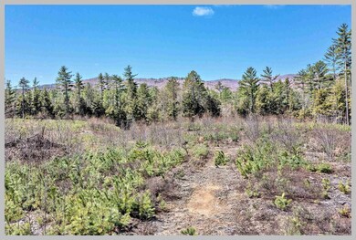 Lot #3 River Rd, Bridgewater, NH 03222 - photo 7