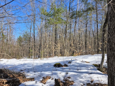 0 Sabattus Trail Rd unit 1617555, Lovell, ME 04051 - photo 5