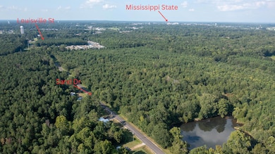 33.6 acres E Side Sand Rd, Starkville, MS 39759 - photo 2
