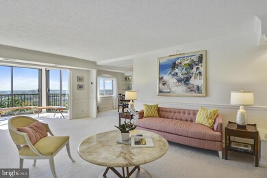 5901 Mount Eagle Dr unit 1207A, Alexandria, VA 22303 - photo 4