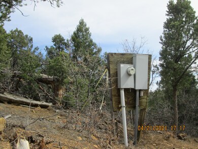 33081 Tall Timber Trace, Trinidad, CO 81082 - photo 6